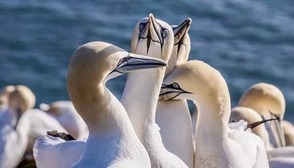 九游入口：开启极致游戏之旅的门户