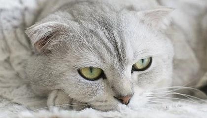 九游入口：开启极致游戏之旅的门户